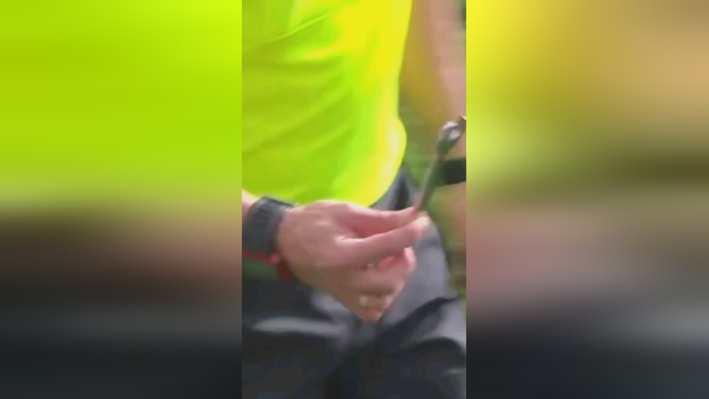 比胜