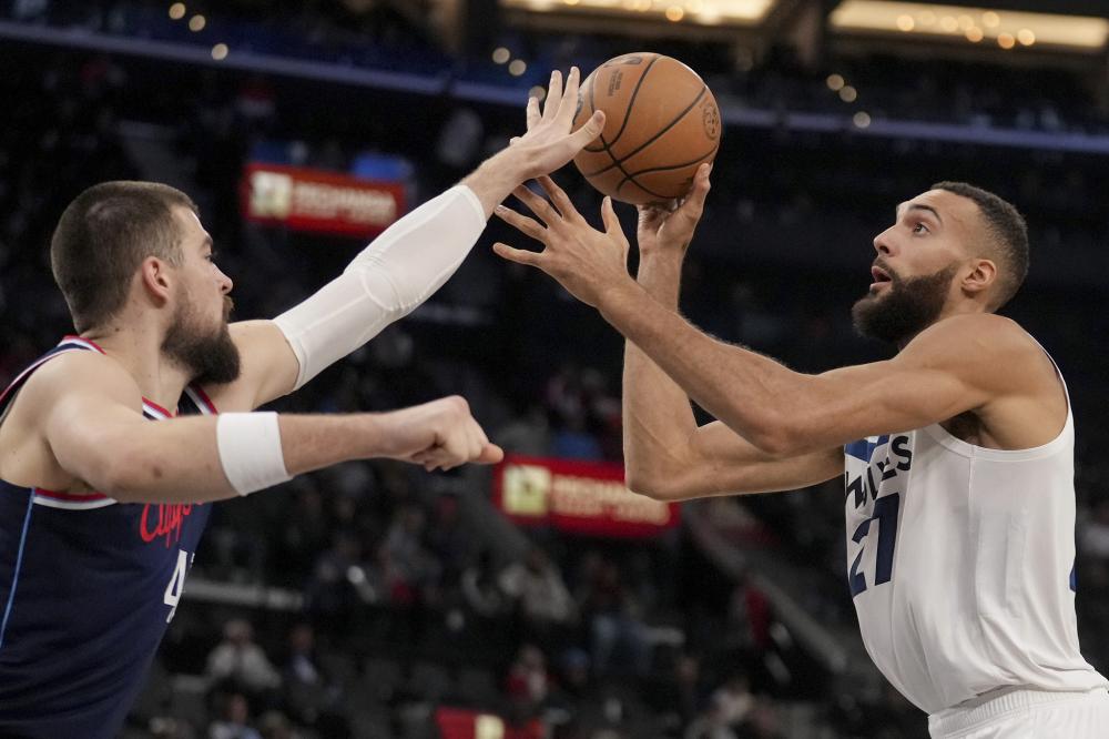 供了参考 供了参考